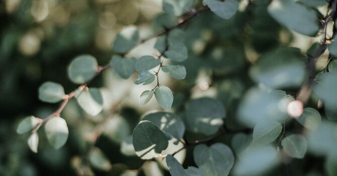 Registered Physical Therapy