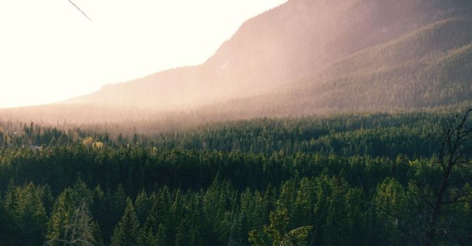 Registered Physical Therapy